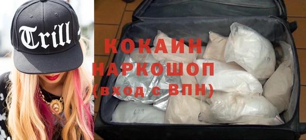 шишки Бронницы