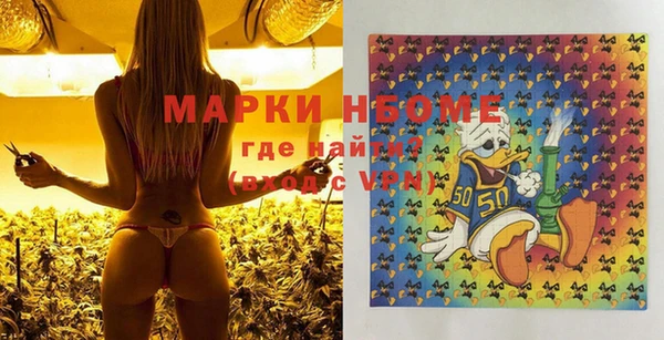 шишки Бронницы
