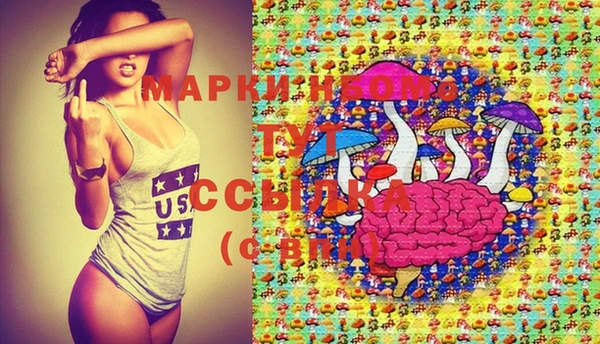 шишки Бронницы