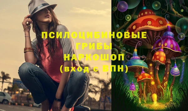 шишки Бронницы