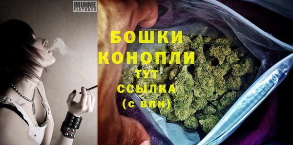 шишки Бронницы