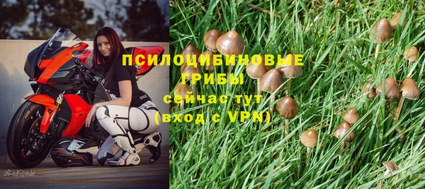 мескалин Бугульма