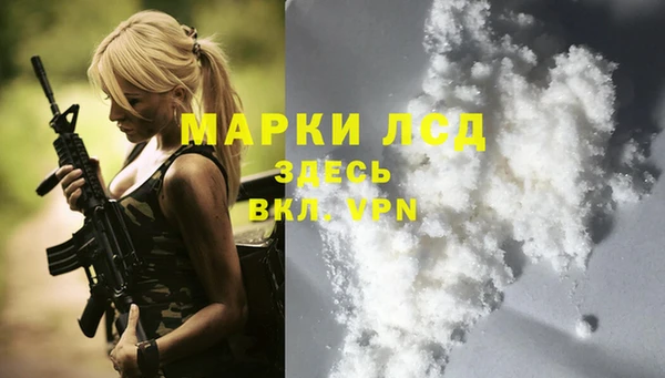 шишки Бронницы